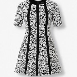 Gabby‎ Skye Floral Print Dress Black White Fit & Flare Size 8 Career Mod Classic